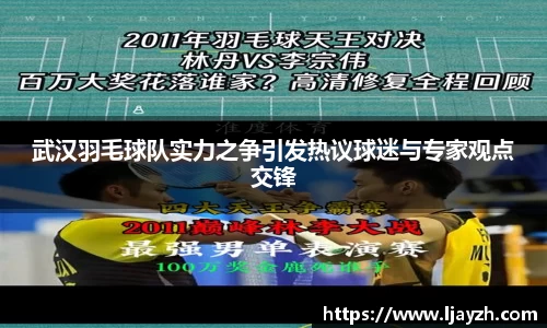 武汉羽毛球队实力之争引发热议球迷与专家观点交锋
