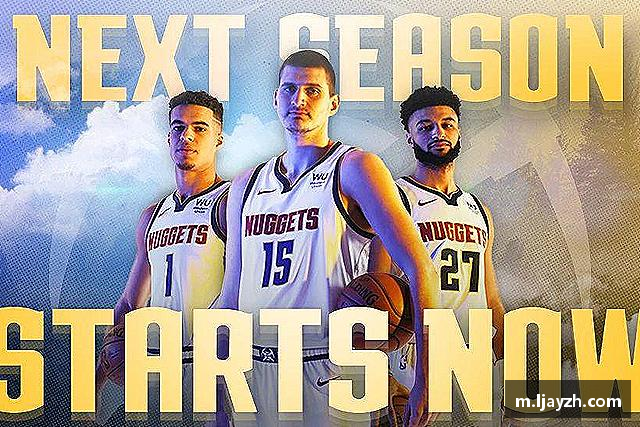 解读333体育官网